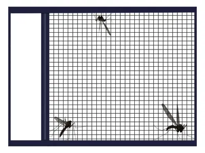 fly screen